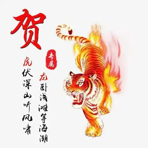 2022虎年最流行的姓氏头像烈火老虎主题比较合适吧