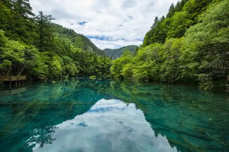 九寨沟风景名胜区内的"五花海"(6月18日摄).