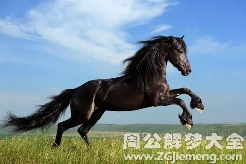 【梦到马】
