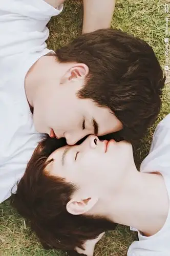 三叶- 堆糖,美图壁纸兴趣社区