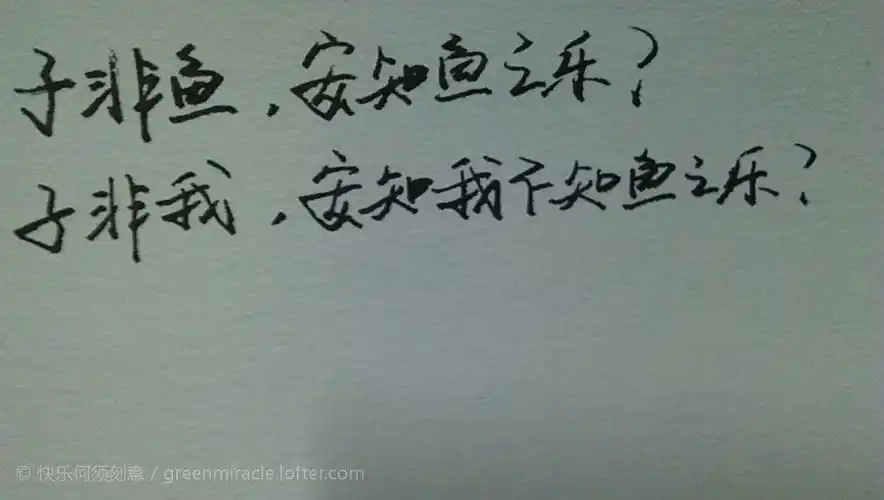 子非鱼,安知鱼之乐? 子非我,安知我不知鱼之乐?