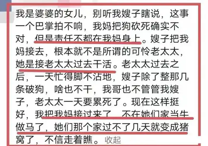 "婆婆砍死三条狗后续,小姑子透露真相,网友着急了_女子_老公_娘家人