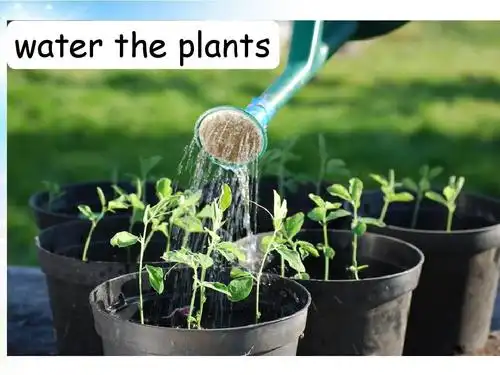 pep人教版六年级上册英语recycle2_第三课时课件ppt