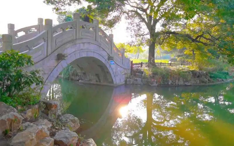 小桥流水,上海植物园