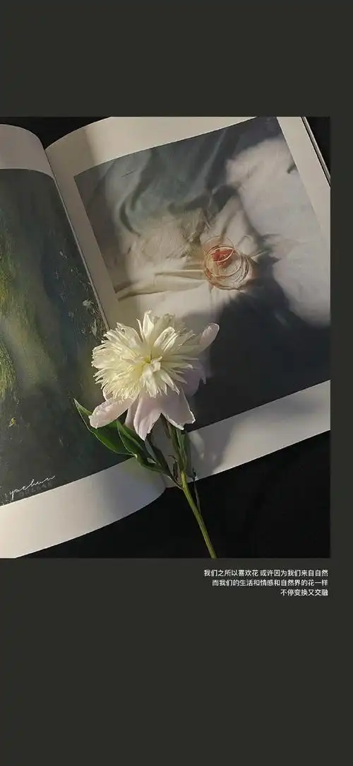 朋友圈背景图##朋友圈分享##朋友圈文案##文案##情绪