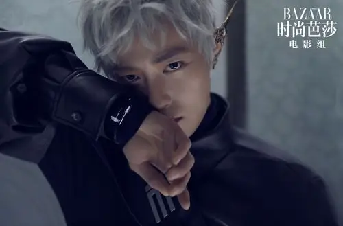 主题:顶流芭莎图搬运,全[114]收藏该帖已收藏