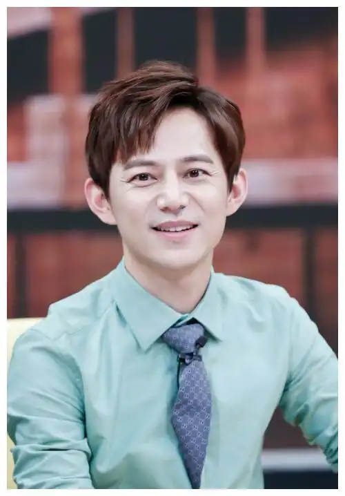 何炅个人真实资料(46岁的何炅至今单身)(1)