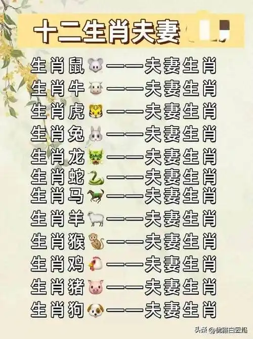 十二生肖_小杰_比赛_才能