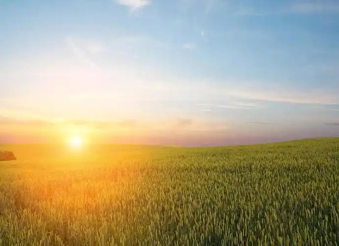 日出时刻的田野景观希望的田野美好