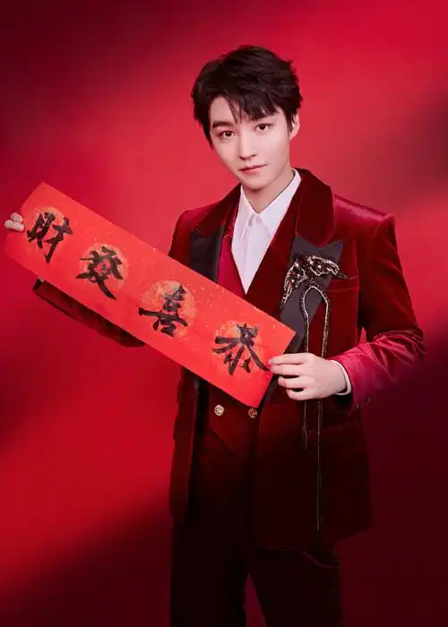 王俊凯红色丝绒西装