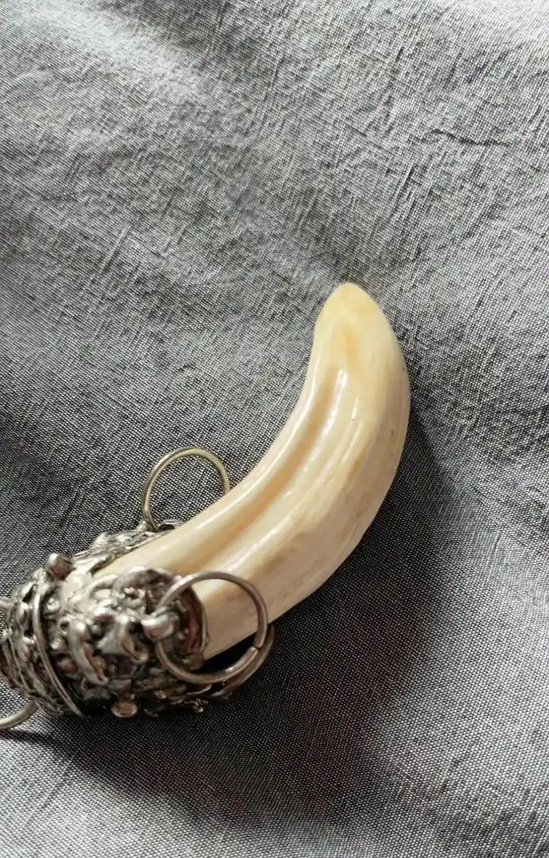 网友:男朋友送给我的,他说这个是老虎的牙,挺值钱的97