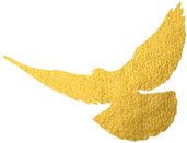 广播剧《新声》——致敬广播前辈,追寻光辉历程,聆听南京解放的声音!