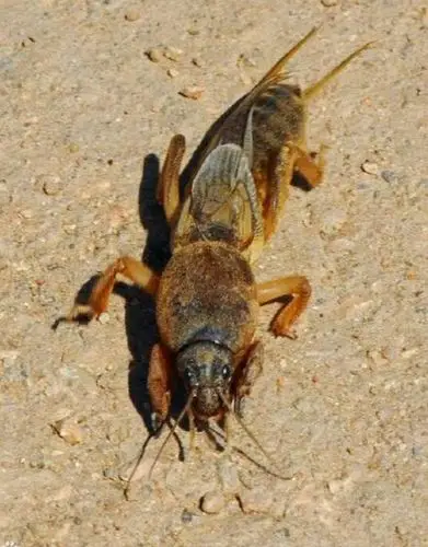 来自:二愣子(cccc)2018-07-13 22:35:02