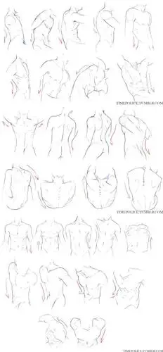 漫画男人体怎么画人体结构教程轻微课绘画网址