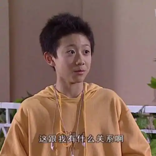 这跟我有什么关系啊刘星表情包刘星关系什么表情