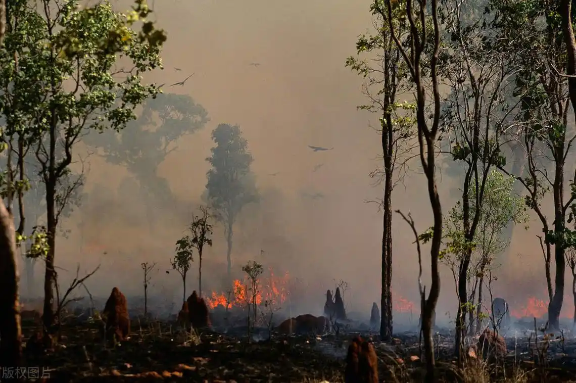 全球变暖引发极端天气,你知道背后的原因吗?