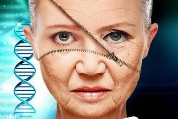 皮肤松弛下垂怎么办 皮肤紧致的方法