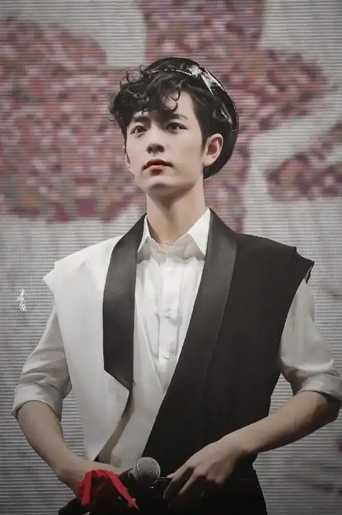 191101 陈情令南京演唱会#向全世界安利肖战#  小卷毛真的帅到我一个