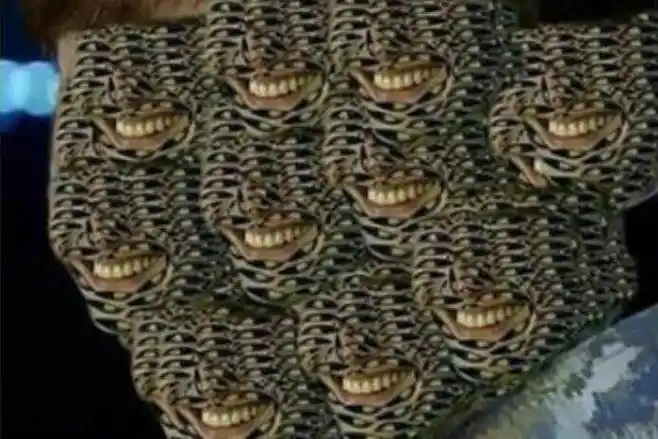 从照片上我们可以看到张翰的眼睛被p的满脸都是,很多有密集恐惧症的人