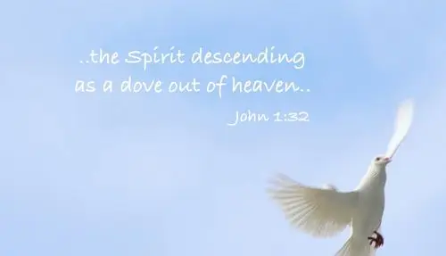 【读圣经学英语】那灵,仿佛鸽子从天降下