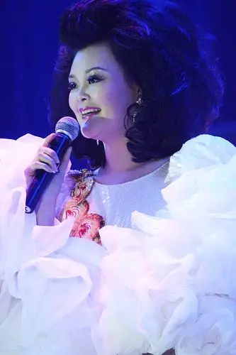 邓丽君经典金曲演唱会