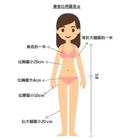 三围女生标准对照表图片