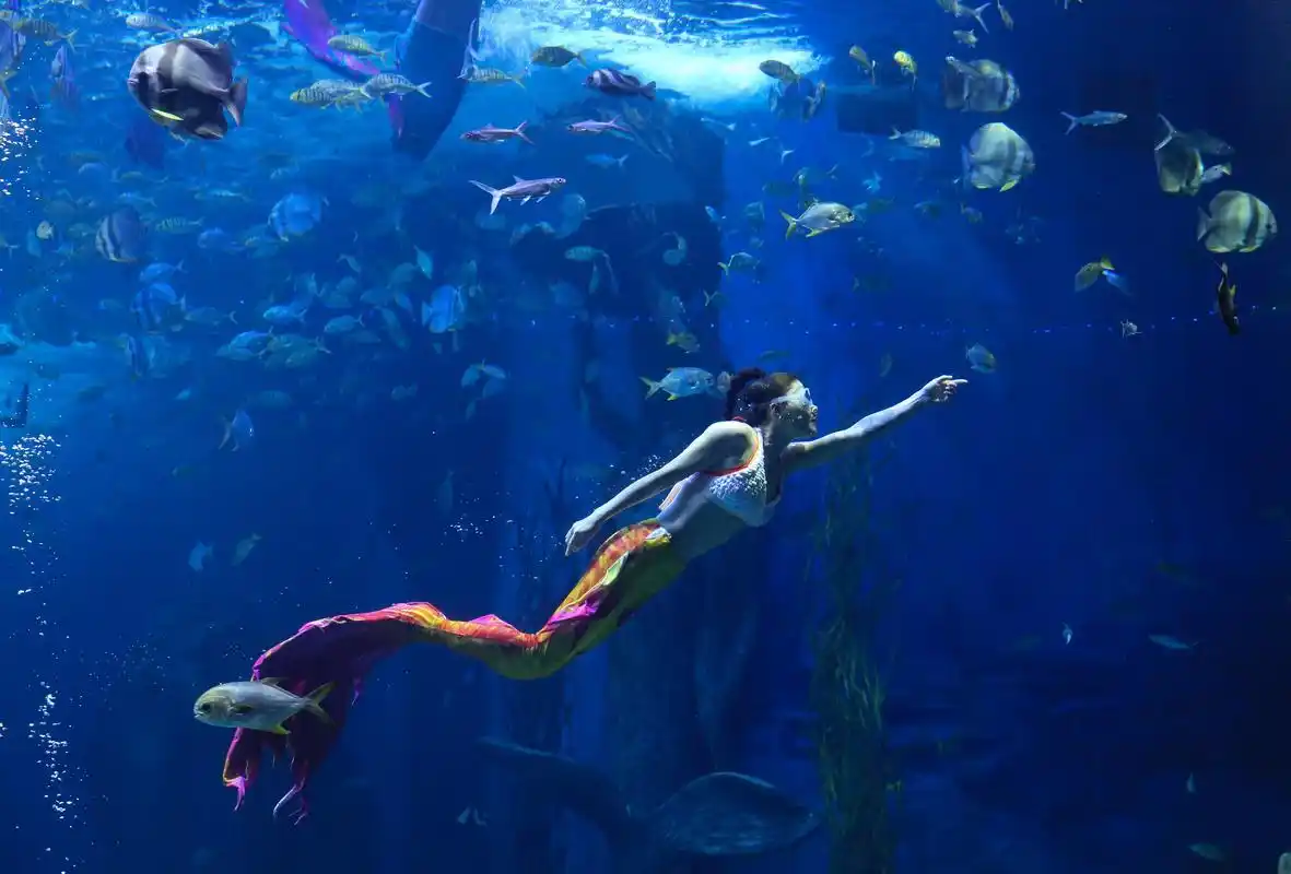 梦幻"美人鱼" 海底享清凉(3)