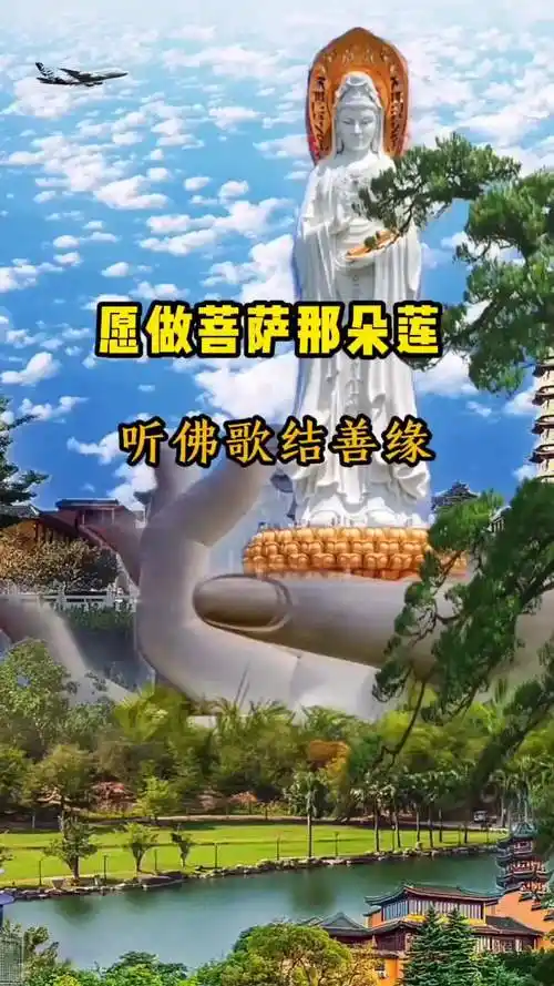 上热门愿做菩萨那朵莲抖音热歌dou小助手