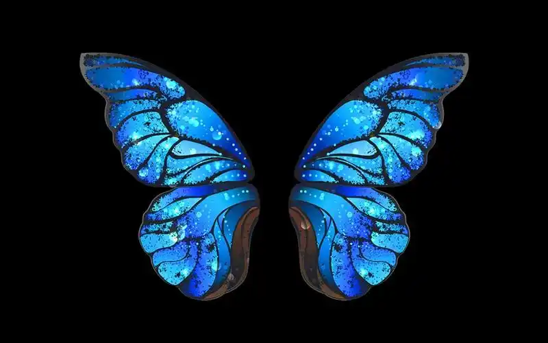 梦幻蝴蝶唯美高清桌面壁纸