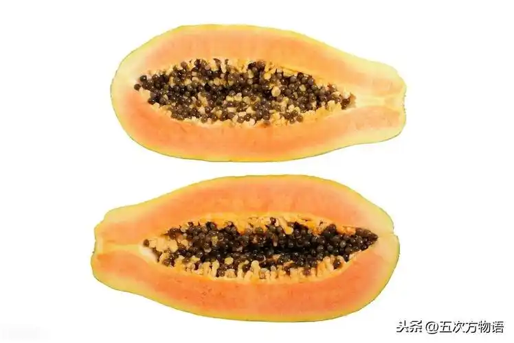 水果的种类(常见水果类型)