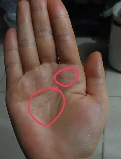 劳碌命女人手相怎么样的?