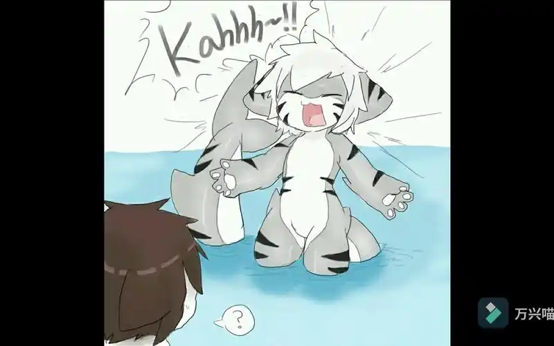 喵鲨篇2(重置版)