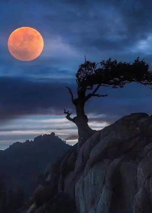 实拍!超级月亮现身夜空