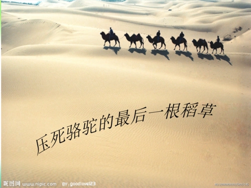 《压死骆驼的最后一根稻草.ppt》