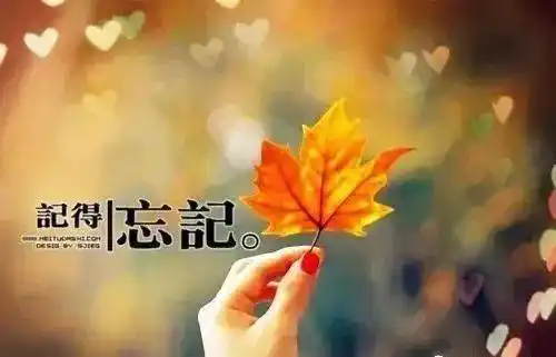 伤心流泪的句子心酸无奈看了想哭