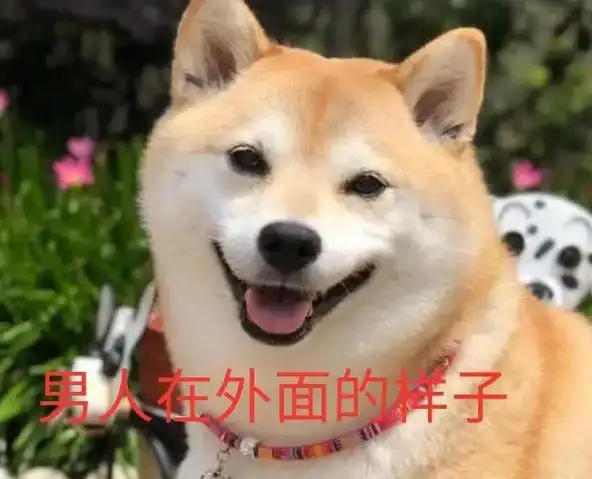 男人在外面的样子#可爱狗狗表情包  - 抖音