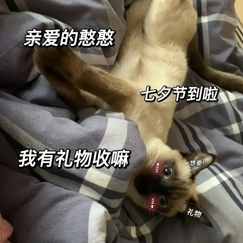 七夕节马上就到啦,发给男朋友看吧!#发给对象表情包 #表情包 - 抖音