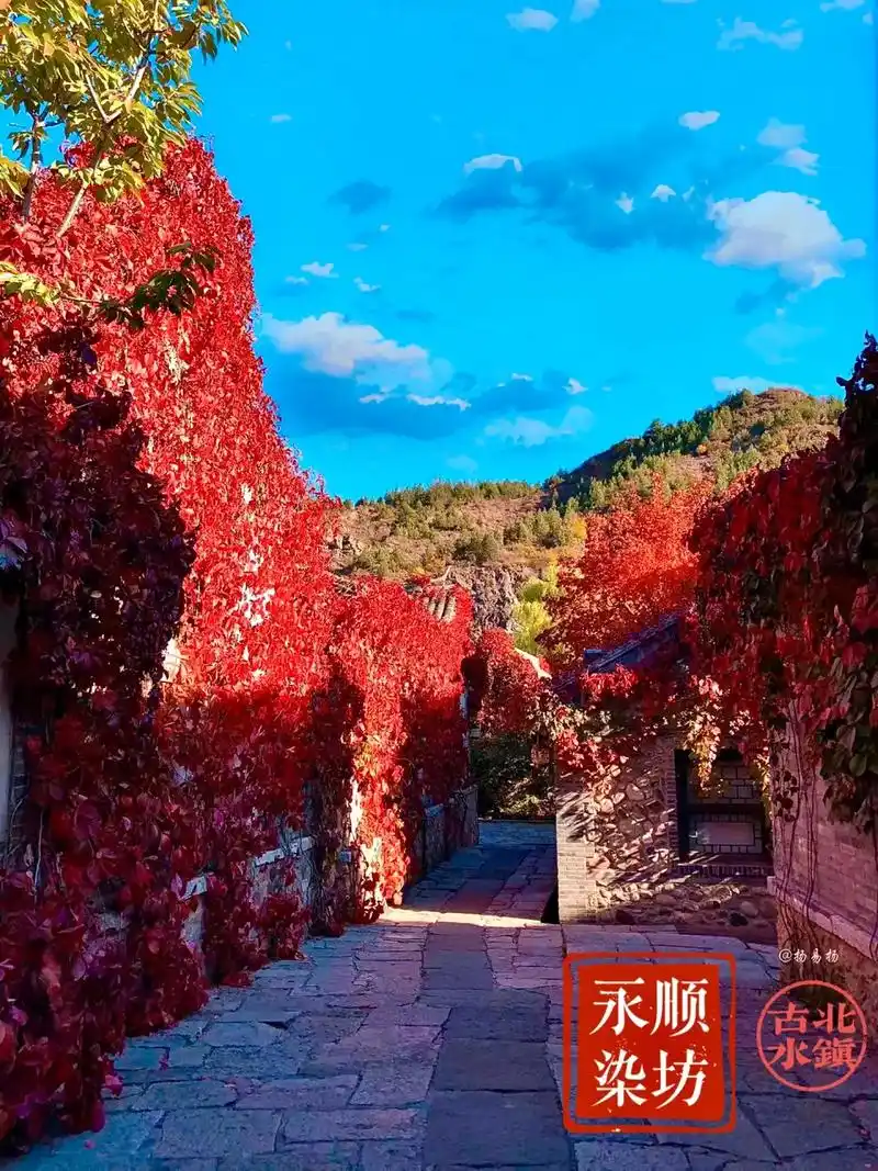 北京秋天|必去系列百年传承"永顺染坊.#持续走红计划     - 抖音