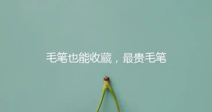 儿子的还比老公长