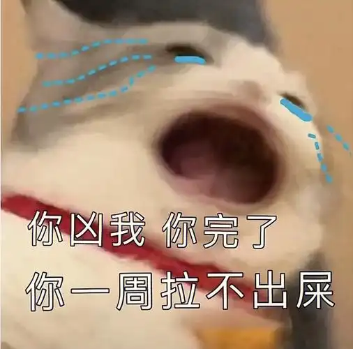 你凶我完了你一周拉不出来屎