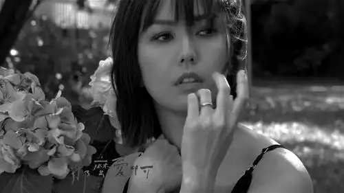 孙燕姿2019年2020年演唱会时间地点价格购票指南