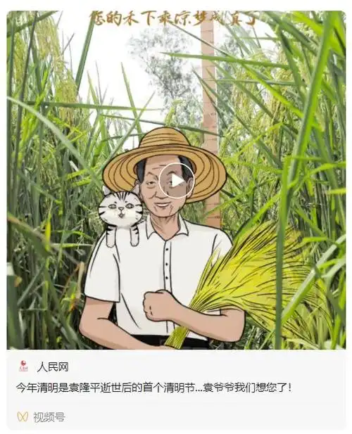 前往墓园祭扫缅怀袁隆平夫人还与后辈此前一天,4月1日让人泪目"人就像