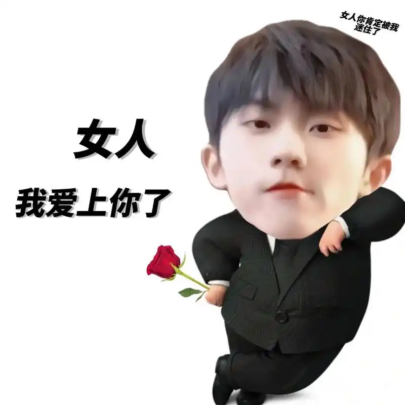 马嘉祺表情包6.