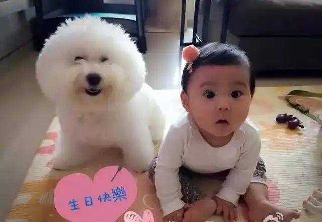 以下赵丽颖宝宝照片都是假的!除了做这张