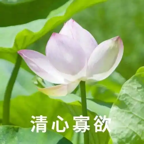 好运加满该更新你的表情包和头像了