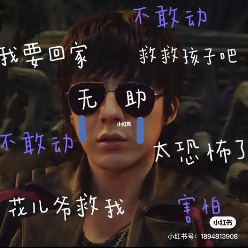 宁哥表情包1#刘宇宁  #摩登兄弟刘宇宁