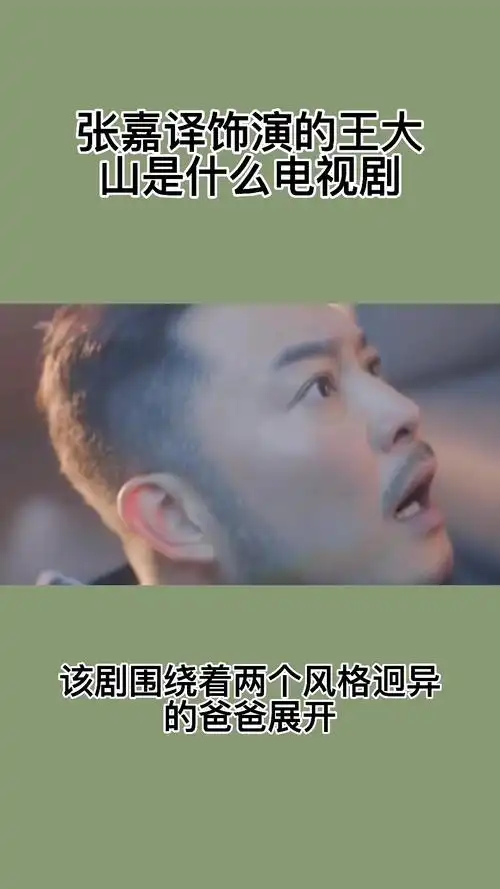张嘉译饰演的王大山是什么电视剧