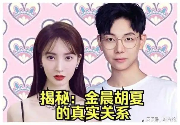金晨胡夏速见速爱恋情真相大揭秘扑朔迷离