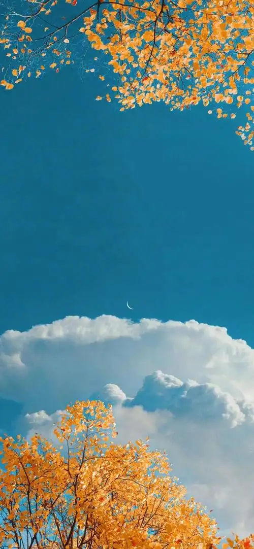 好看的微信状态背景图大全