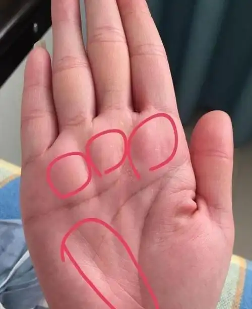 顶级富豪最多的生肖女女人最有福气的手相奇缘阁算命